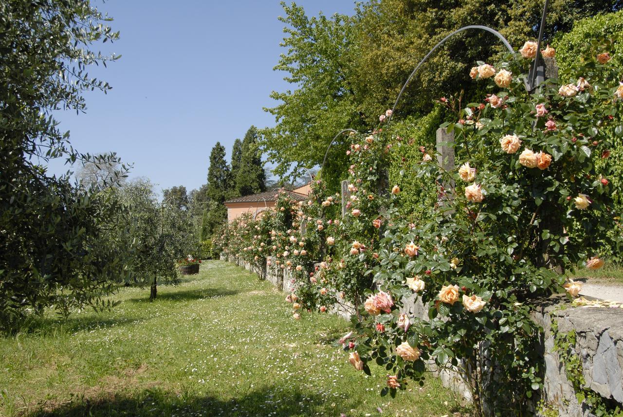 La Chiusa Di Nanni Piaggiori Экстерьер фото